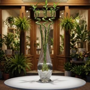 زجاج مينا 60سم