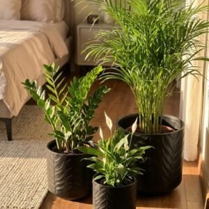 سنادين سيراميك صيني