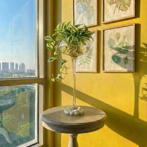 زجاج استاند كاسي\60 سم