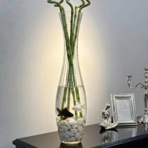 زجاج جره \70سم