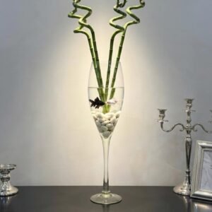 زجاج استاند\70سم