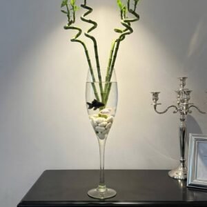 زجاج استاند\60سم