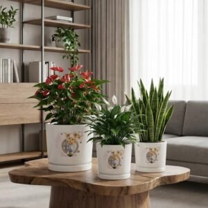 سنادين سيراميك txx