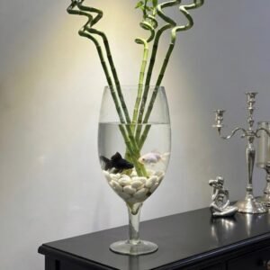 زجاج استاند\50 سم