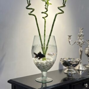 زجاج استاند\40سم