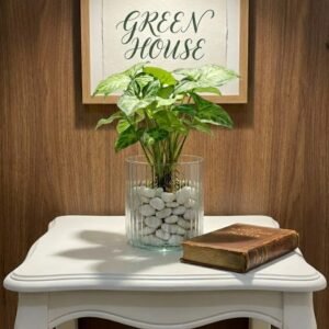 زجاج نسيم مخطط قياس 12.5سم