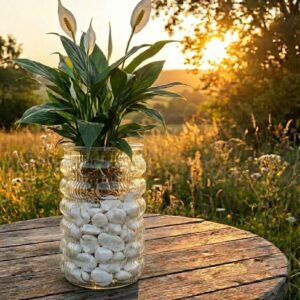 زجاج اماندا قياس \16 سم