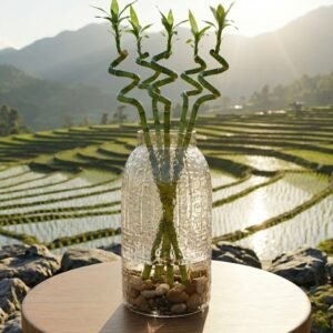 زجاج زيبرا\48سم