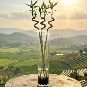 زجاج اسطواني\50سم