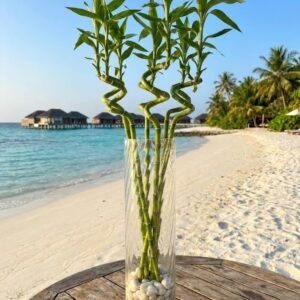 زجاج اسطواني \60سم \عرض 12سم