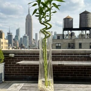 زجاج مربع\70سم طول \عرض 15