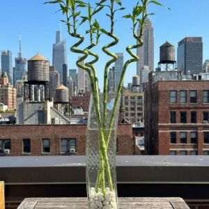 زجاج مربع منحني طول\60سم\عرض \8سم