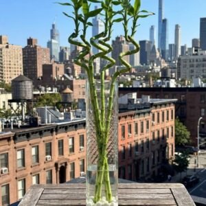 زجاج مربع مخطط\طول 60سم \عرض\13سم