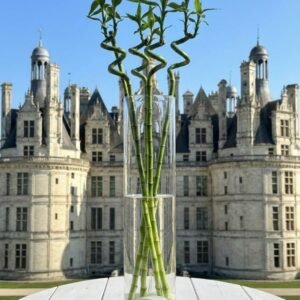 زجاج اسطواني طولي طول الزجاجه\60 عرض 12