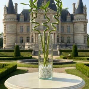 زجاج اسطواني\40سم