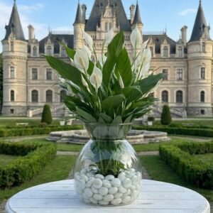 زجاج مزهريه \22سم