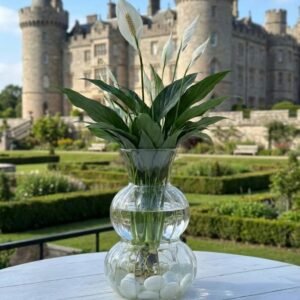 زجاج اوتار صغير\8سم طول \عرض \7سم