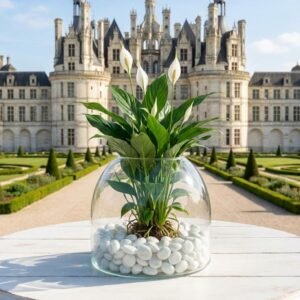 زجاج رش طول\27سم