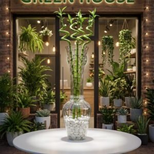 زجاج جرة\60 سم