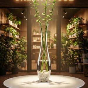 زجاج جرة 60 سم z80