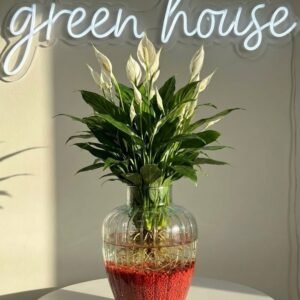 زجاج مخطط وسط\18سم