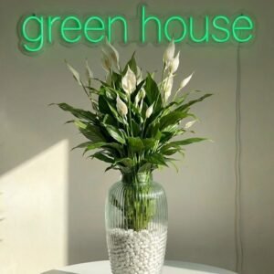 زجاج مخطط كبير