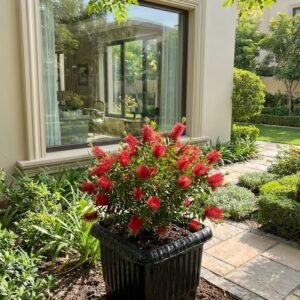 سندانة بلاستك مربع508